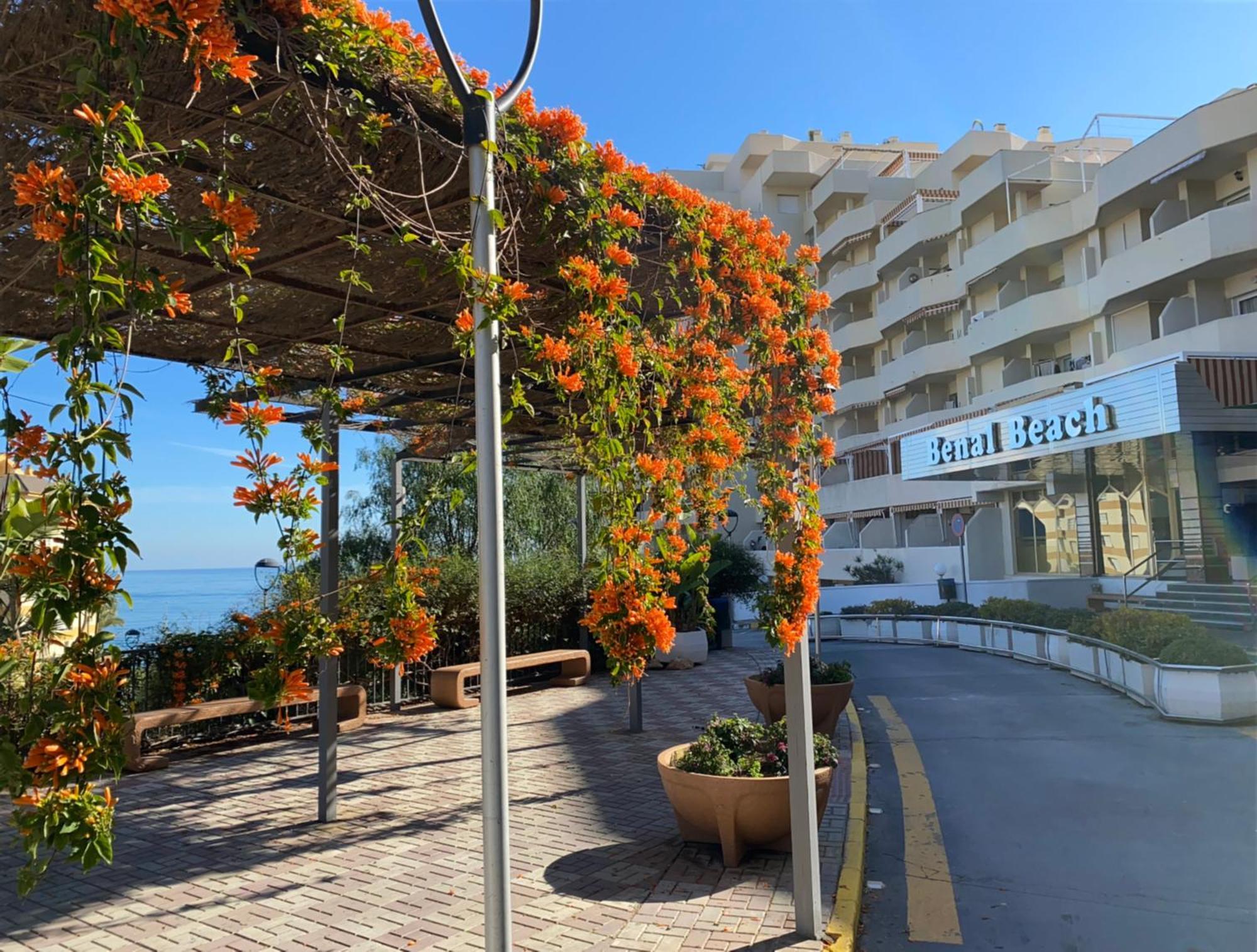 Benal Beach Apartamento Mountain View Benalmádena Eksteriør billede